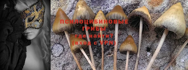 Альфа ПВП Арсеньев