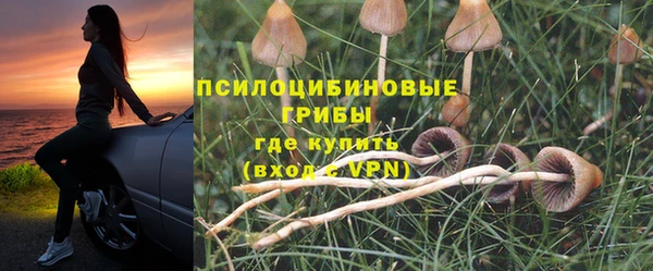 эйфоретик Новодвинск