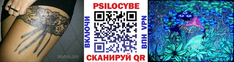 Псилоцибиновые грибы GOLDEN TEACHER  даркнет формула  Правдинск 